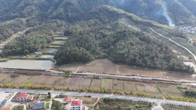 无人机巡护为森林防火“添翼”