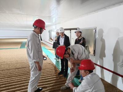 五连优!康穗粮储守牢14750吨县级储备粮安全