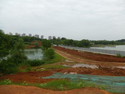 紧盯问题抓整改 全力推进尹家湖东路道路建设