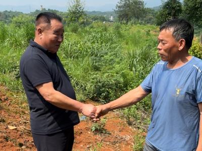 大冶：殷祖乡间，“六尺巷”故事又长出了新芽