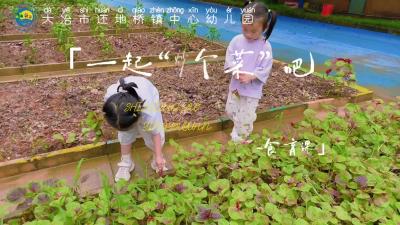 还地桥镇中心幼儿园《一起炒个菜》劳动教育活动 
