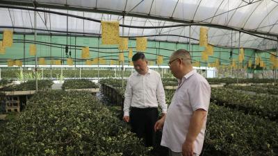 潘小进调研生态治理、农业生产和基层党建工作
