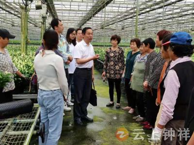 【党史学习教育】钟祥：党史学习教育宣讲走进田间地头和工厂车间