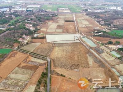 双河镇：加快推进高标准农田建设 助推乡村振兴