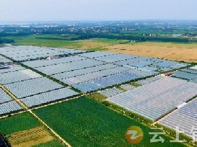 成绩突出！钟祥农业农村工作获省厅通报