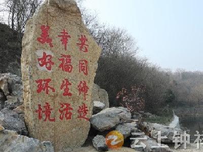 【寻访最美钟祥人】山村追梦“领头雁”——追记钟祥市张集镇宗湾村党支部书记宁中国