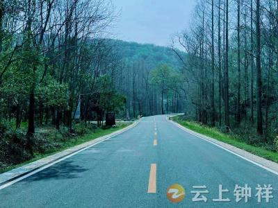 钟祥：沿途生态美 路景入画来