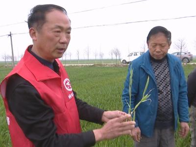 志愿服务到田间 问诊把脉助丰收
