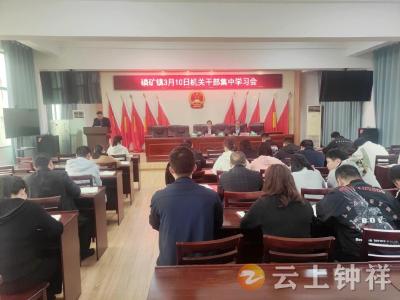 钟祥市磷矿镇：发挥“传帮带”优良传统，促进青年干部快速成长