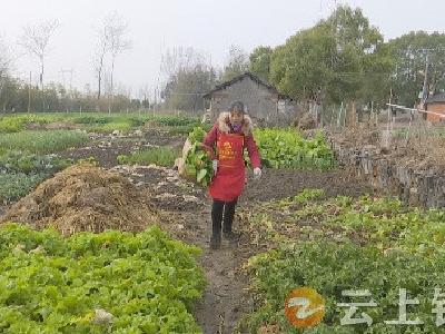 “先进模范”典型事迹展播丨荆门好人—苏玉葵（冷水镇茄垱村村民）