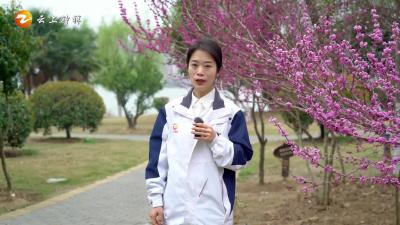 《橙子说事儿》南湖出现死鱼？最新调查结果来了！