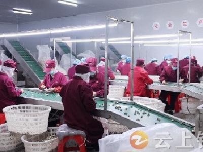 订单充足！浩伟科技一季度出口额同比增长9%