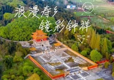 文明旅游｜不摇树、不摘花，钟祥美景带回家！