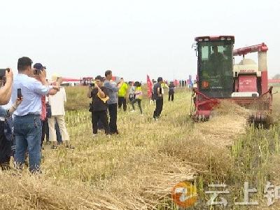 夯实粮食安全基础！全国粮食机收减损技能大比武培训活动在钟祥举行