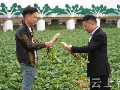 “熊”心壮志逐梦行