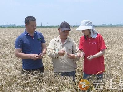 钟祥牧原公司：实施粪污利用工程  助力农业增效农民增收