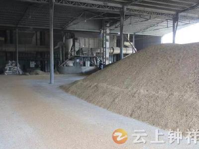 钟祥市：从减损到止损，粮食就地烘干唱主角