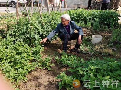 暖心五月话寿长——访洋梓镇李庙村百岁老人陈玉兰