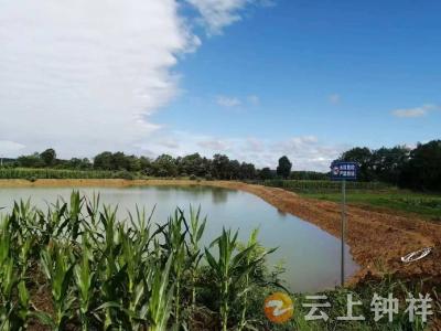东桥镇柳河村：有险早预防 格格在行动