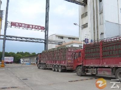 履行社会责任 彰显国企担当 中粮祥瑞粮油工业（荆门）有限公司开启油菜籽收购工作