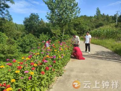 观摩学习，钟祥市张集镇蔡岭村“文明家园”积分制分享在田间地头