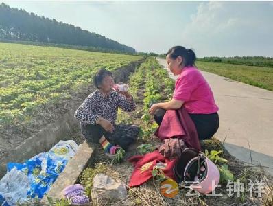 柴湖镇张湾村：老人出门迷路 格格及时相助
