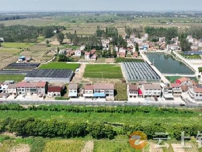 钟祥市柴湖镇全坑村 栀子花“开”出美丽产业