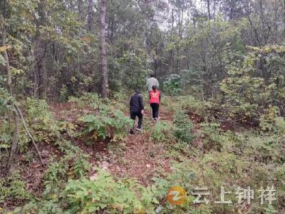 钟祥市温峡口水库：筑牢防火墙  防患于未“燃”