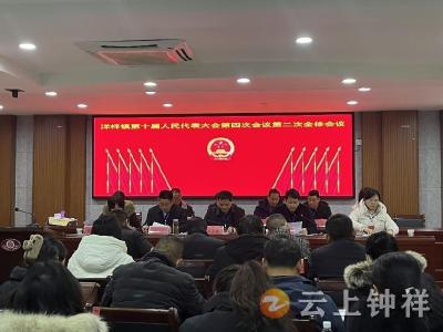 洋梓镇召开第十届人民代表大会第四次会议
