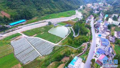 聚焦高质量发展丨一个鄂西山区养牛场华丽“蝶变”的背后