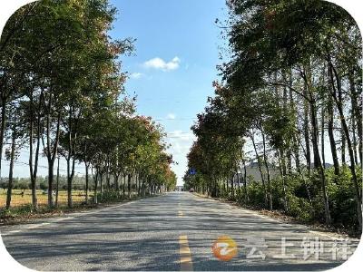 钟祥公路：推广运用大粒径水稳基层工艺，延长公路使用周期