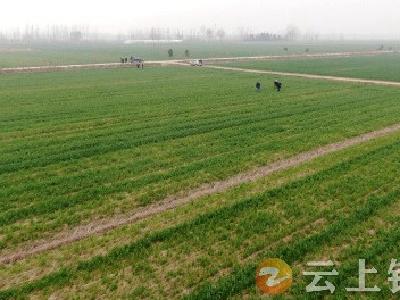 钟祥市农业农村局发布近期低温雨雪冰冻天气应对措施