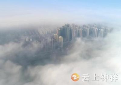 湖北钟祥  城区呈现平流雾  空中鸟瞰美如仙境