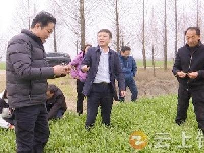 湖北省农业农村厅指导组在钟祥指导农作物防冻工作