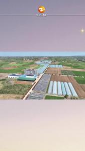 育秧基质片 让秧苗赢在起跑线#湖北钟祥