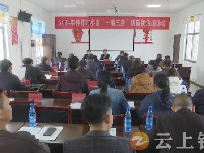 钟祥市召开2024年小麦“一喷三防”统防统治现场会