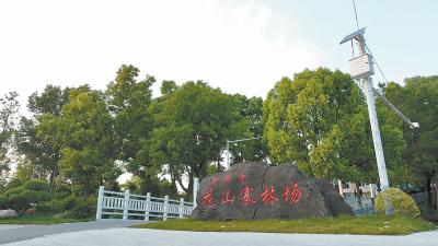 花山寨林场：当好温峡库区的绿色守护者