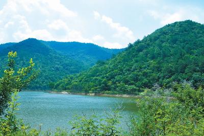 鸡鸣寺林场：交上“富美林场”建设新答卷