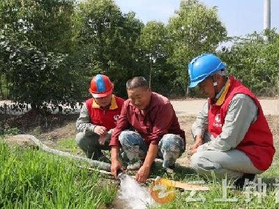 抗旱保电送田间 农田“解渴”润民心