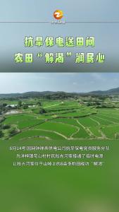 抗旱保电送田间   农田“解渴”润民心