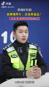 误闯红灯后，是原地停车，还是接着走？警察告诉你该怎么做 #普法