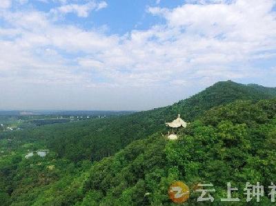 林业总产值突破128亿元 钟祥市获得2023年湖北省林长制激励