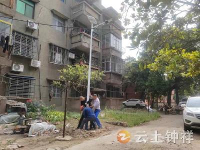 胡集镇放马山社区：安装路灯暖人心 照亮群众幸福路