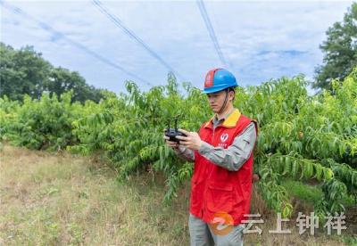 国网钟祥市供电公司：四维护线模式，打造线路安全通道