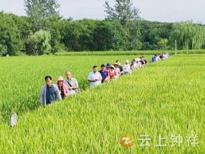 钟祥：选好种，助增收