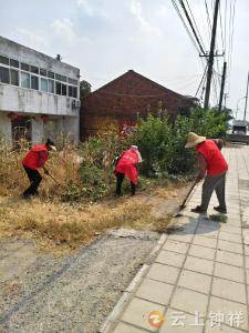 双河镇乐乡关村：网格助环保，我们在行动