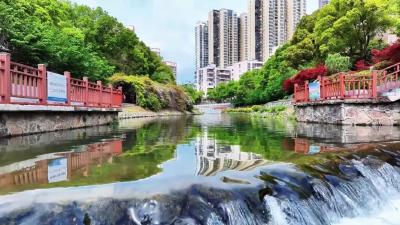 荆门：数十年治理不辍 护汉江大河清流 | 家住汉江边·大河清流 