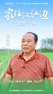 汉江“萝卜王” 创业“父子兵” | 家住汉江边·沃野千里 
