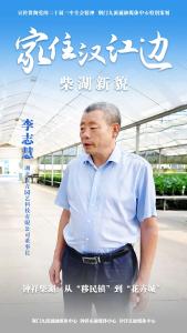 钟祥柴湖：从“移民镇”到“花卉城” | 家住汉江边·柴湖新貌 