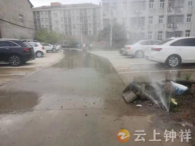 郢中街道高庙社区：水管破裂“水浸街”，网格员及时解民忧